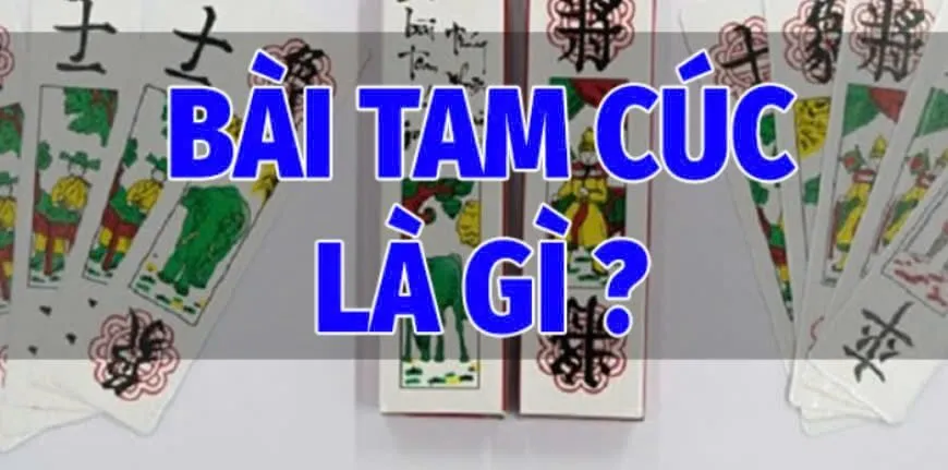 Bài Tam Cúc Luk88  Là Gì?